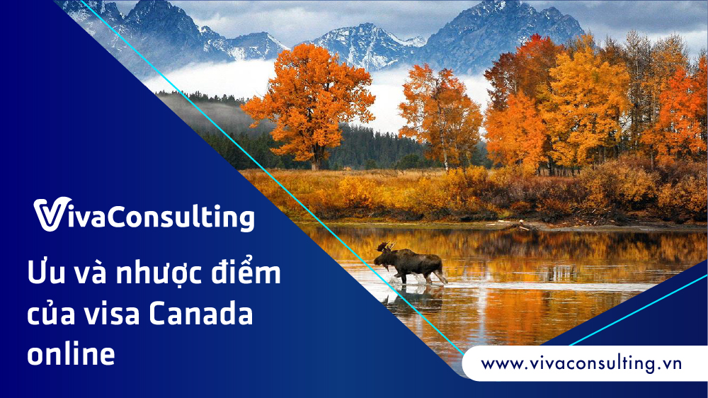 Uu va nhuoc diem cua visa Canada online