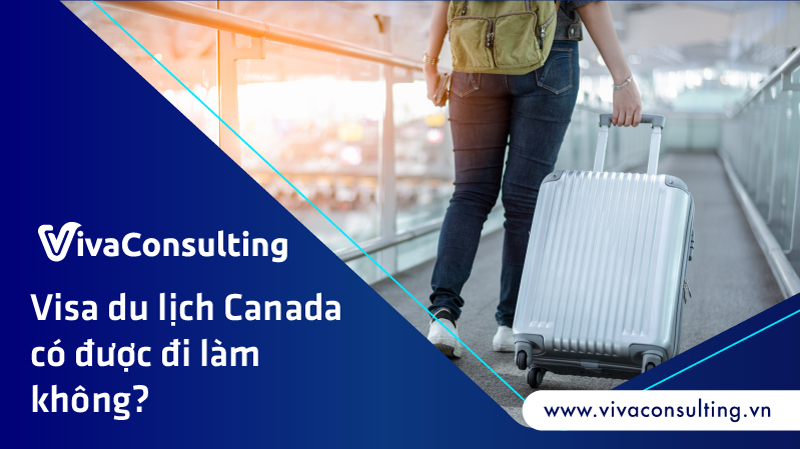 visa du lịch canada có được đi làm không