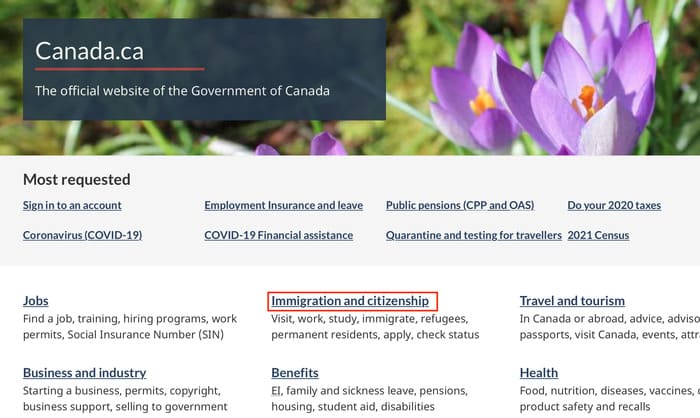 kiểm tra tình trạng visa canada online bước 2