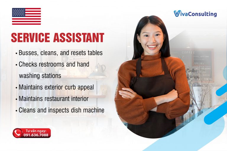 Service Assistant 02 768x512 1
